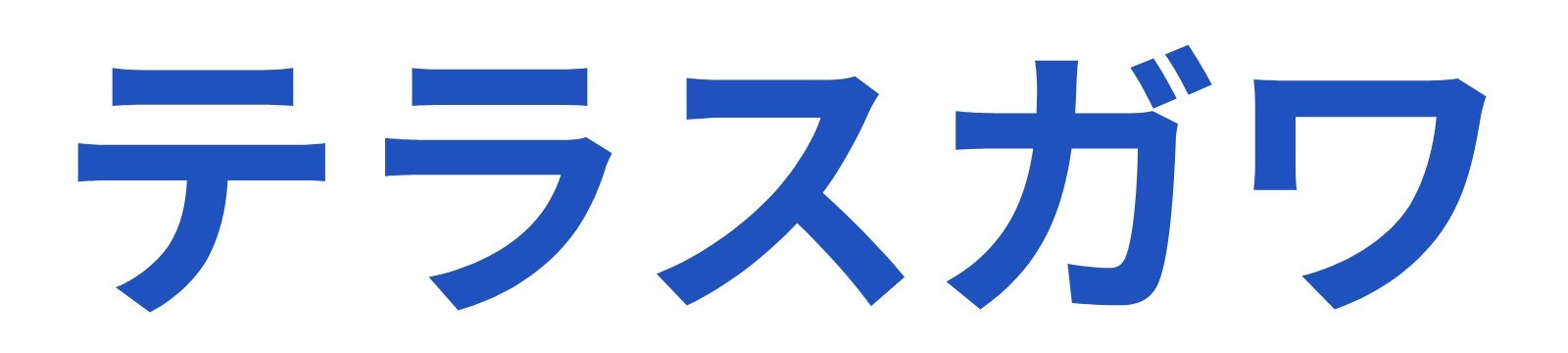 熊本の店舗特化Webマーケティング支援 テラスガワ