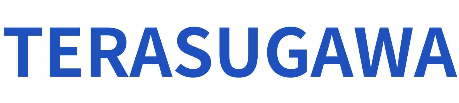 熊本の店舗特化Webマーケティング TERASUGAWA(テラスガワ)